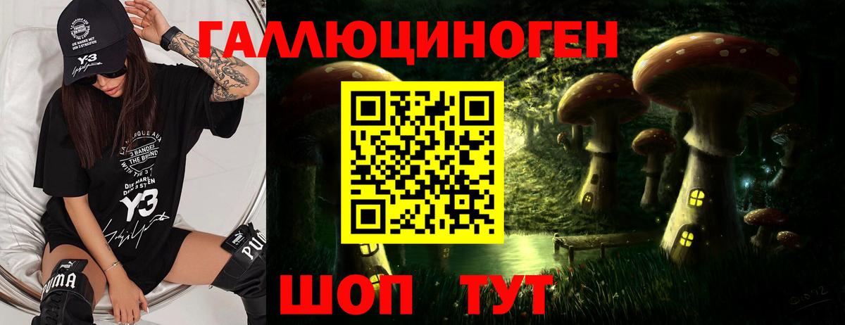 Галлюциногенные грибы ЛСД Лениногорск