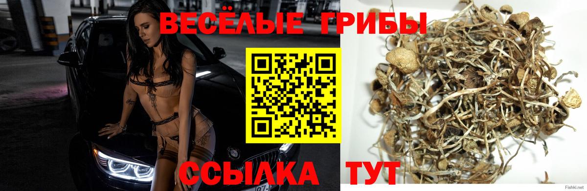 Псилоцибиновые грибы GOLDEN TEACHER  Галлюциногенные грибы ЛСД  Вход с VPN  Лениногорск 